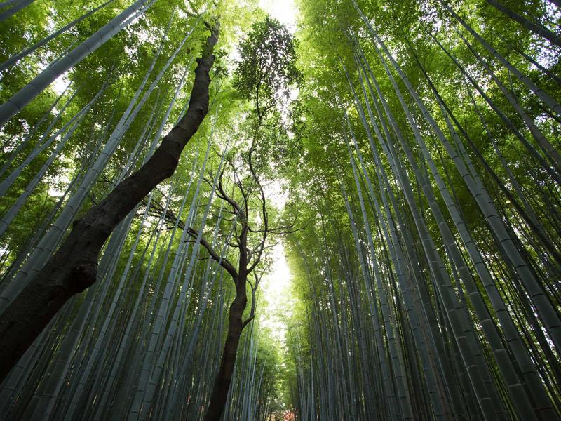 El efecto red: cómo los coworkings generan oportunidades de negocio